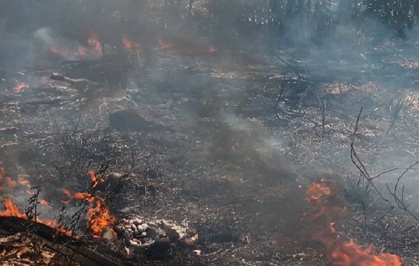 Los ciudadanos hacen un llamado a reforzar los controles, promover la denuncia y crear mayor conciencia sobre el impacto de las quemas