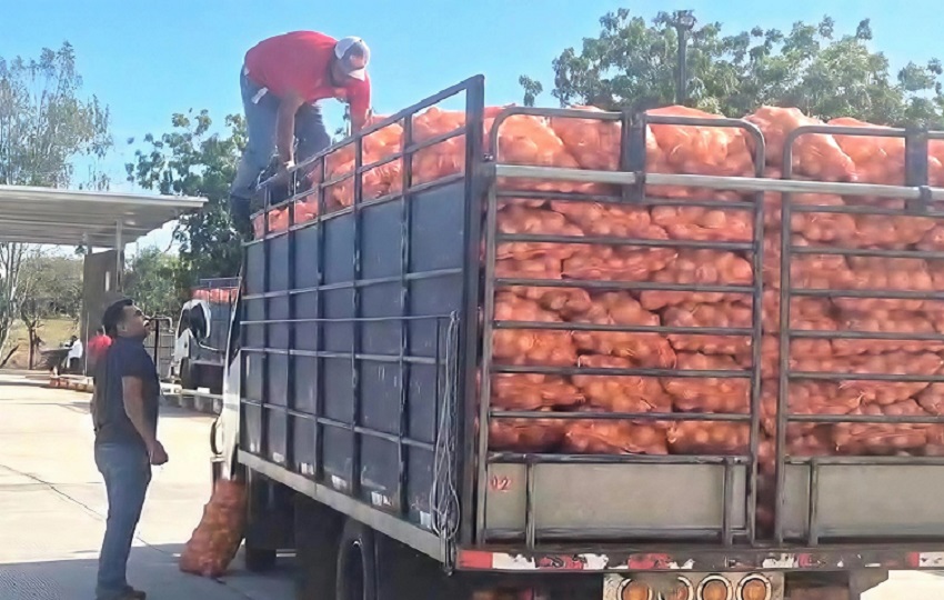 La distribución del producto se espera que esté disponible en los distintos puntos de venta del IMA en todo el país. Foto. Thays Domínguez