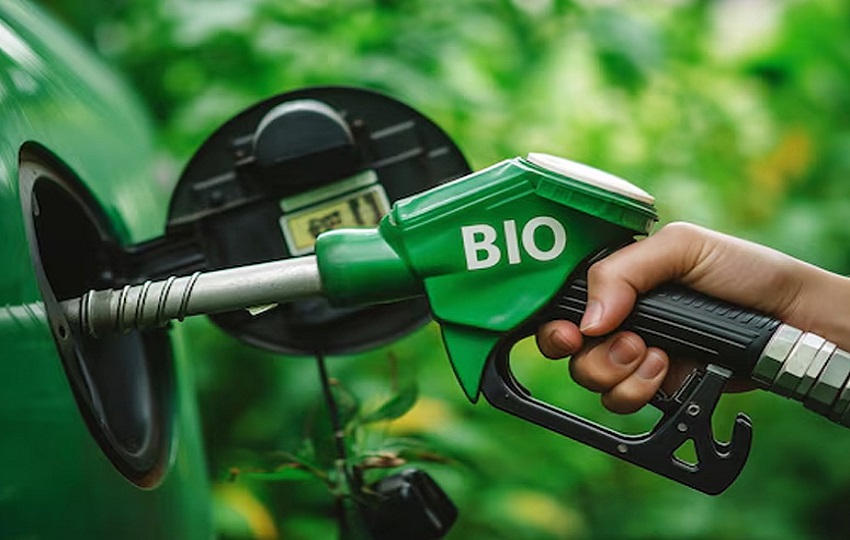 El proyecto de ley debe llegar al pleno en los próximos días.  Cortesía 