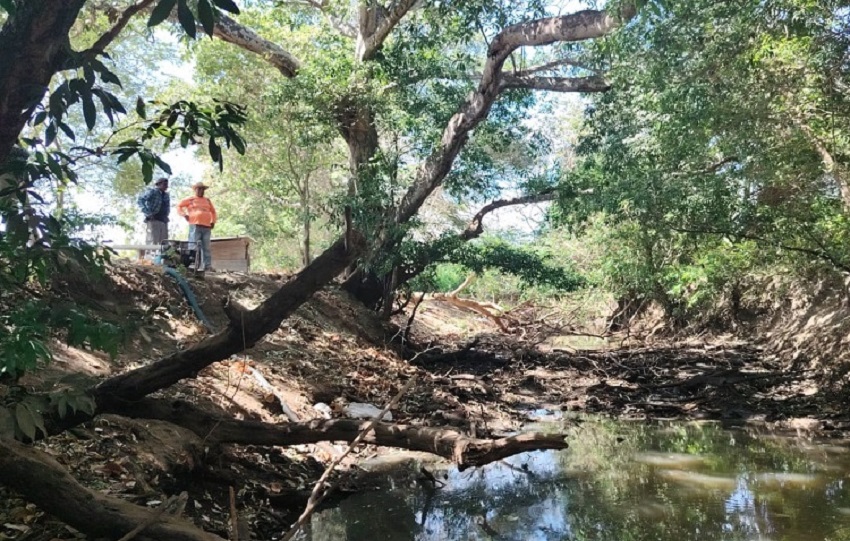 En la actualidad, las cosechas de maíz, cebolla, ají y tomate están en su fase vegetativa; por esta razón, necesitan un abastecimiento continuo de agua.