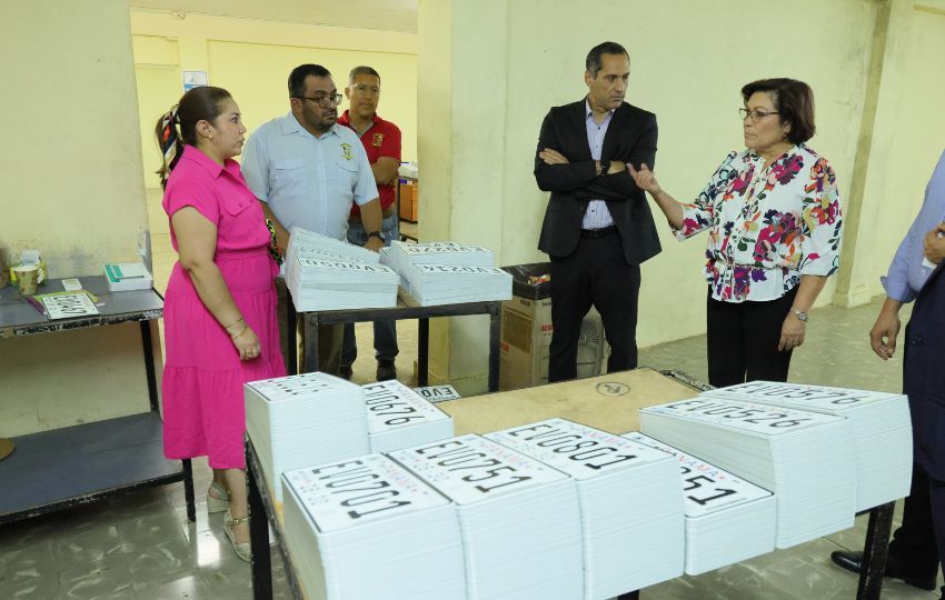 La entrega de placas marca el inicio del cronograma de abastecimiento nacional. Foto: Cortesía