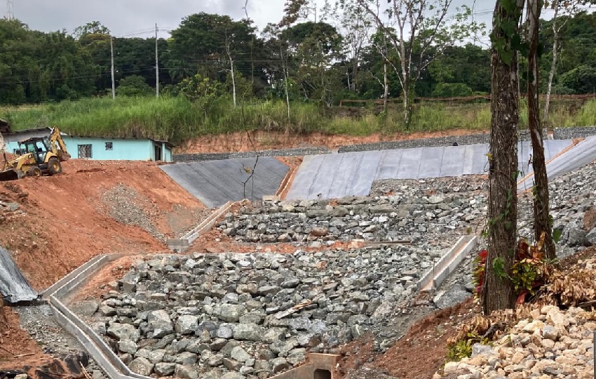 guarumal_1.jpg