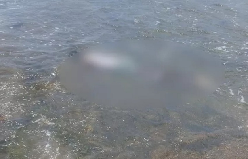 Se pudo conocer que el joven siempre colaboraba con la comunidad en labores de limpieza y otras actividades en beneficio de la población costera. Se pudo conocer que el joven siempre colaboraba con la comunidad en labores de limpieza y otras actividades en beneficio de la población costera.