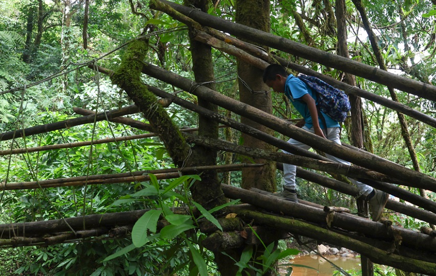 Puente de bambú en una comunidad comarcal. Foto: EFE