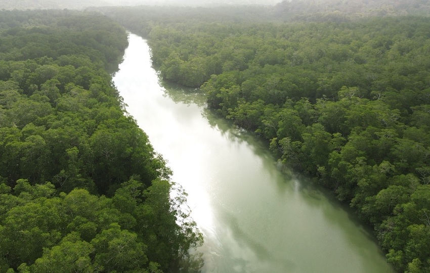 Las comunidades fortalecieron su compromiso con la protección del territorio. Foto: FAO/Cortesía