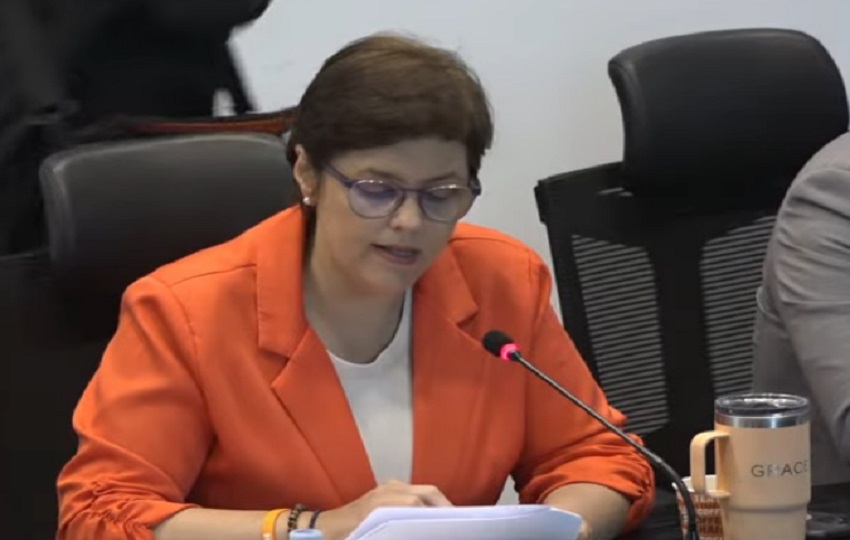 Honorable diputada Graciela Hernández.