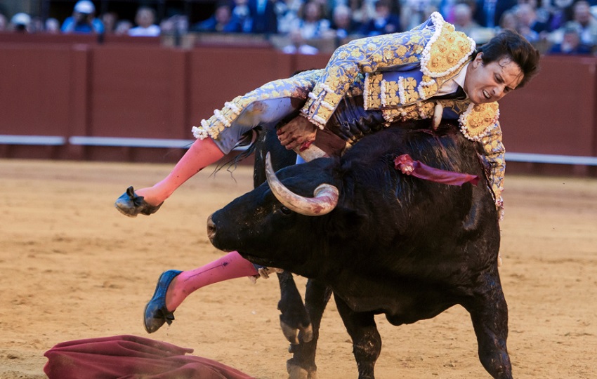 El diestro Roca Rey fue cogido al entrar a matar al quinto toro de la corrida de este jueves de la Feria de Abril de Sevilla. Foto: EFE