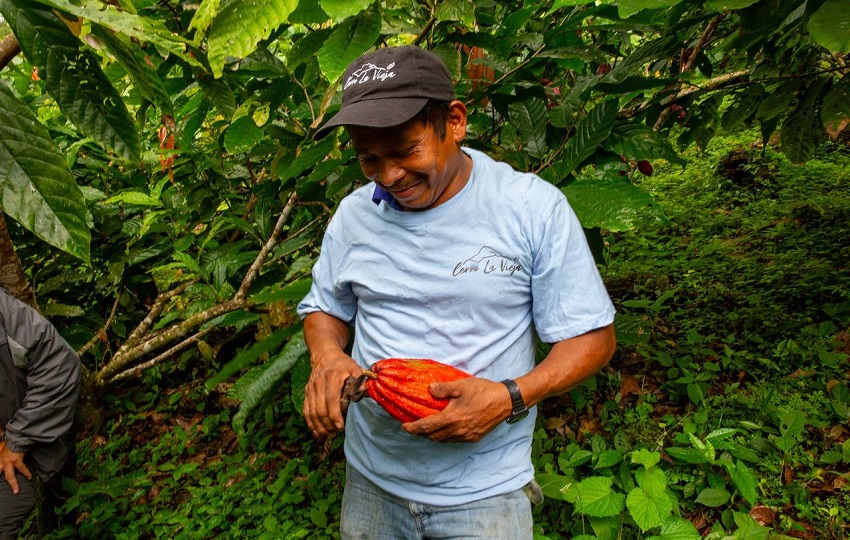  Para obtener la certificación Bird Friendly, el cultivo orgánico es primordial. Foto: Cortesía