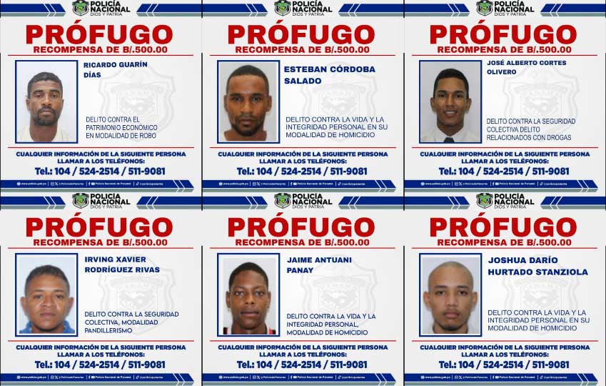profugo-2.jpg