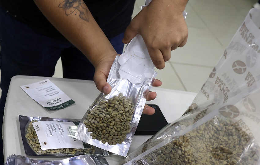 Panamá produjo cerca del 50 % de lo que normalmente produce. Foto: EFE