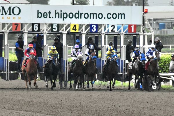 La carrera se disputó en distancia de 1,800 metros. Foto Boris Valdivieso La carrera se disputó en distancia de 1,800 metros. Foto Boris Valdivieso