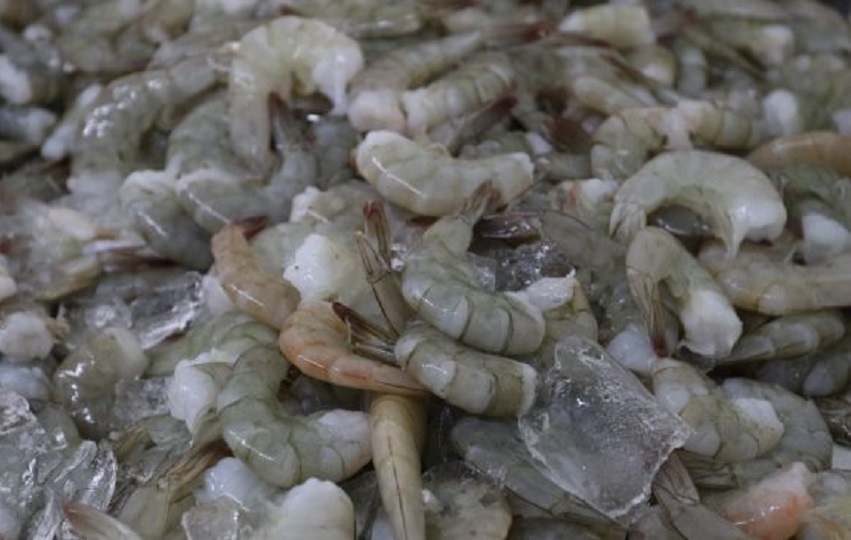 camarones_exportacion.jpg