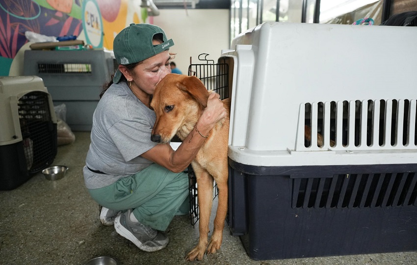 Una mujer abraza a un perro en el Centro de Bienestar Animal. Foto EFE Una mujer abraza a un perro en el Centro de Bienestar Animal. Foto EFE