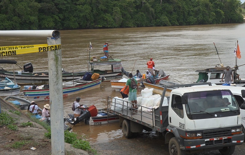 amp_coquira.jpg