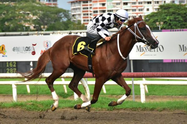 Dandy del Peligro fue superior. Fotos Boris Alberto Valdivieso Dandy del Peligro fue superior. Fotos Boris Alberto Valdivieso