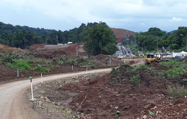 La ampliación de la Panamericana provocará la deforestación de 91 hectáreas. La ampliación de la Panamericana provocará la deforestación de 91 hectáreas.