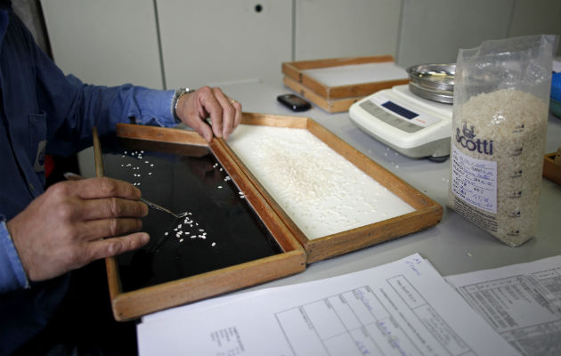 México ha dejado de comprar arroz de Estados Unidos, según los datos