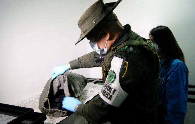 Decomisan en Bogotá 216 ranas venenosas que serían enviadas a Alemania Tras una inspección de funcionarios de la Secretaría se identificaron 53 ranas de la especie Oophaga histrionica (rana arlequín), 50 de la Oophaga lehmani (rana venenosa de Lehmann) y 13 de la Oophaga sylvatica (rana kiki).