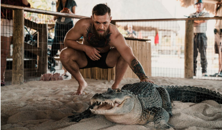Conor McGregor frente al caimán Foto @thenotoriousmma