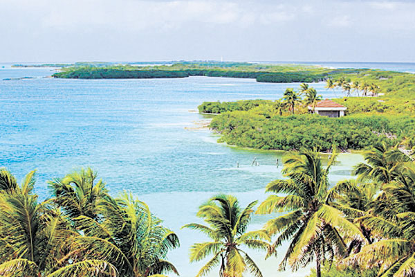 Contoy (México) es un santuario natural, con playas vírgenes y una isla que aún no ha sido presa de las grandes cadenas hoteleras.