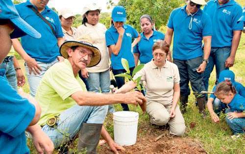 <p>Esta es la segunda actividad de reforestación realizada en menos de un año. </p>