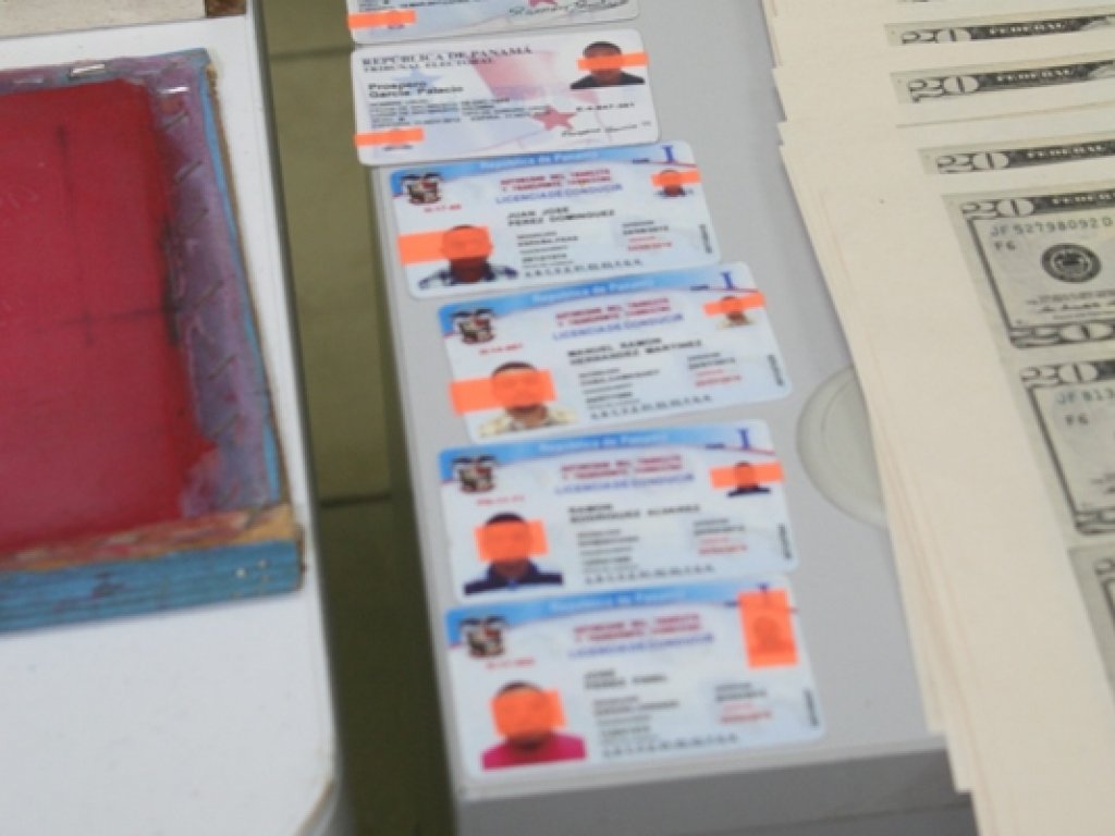Licencias de conducir y cédulas falsificadas. Foto/Cortesía<br>