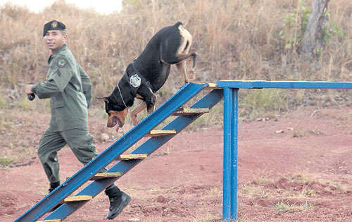 <p>Demostración. Desarrollan agilidad y destreza.</p>