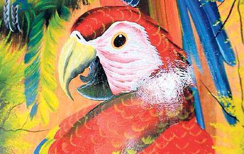 <p>Agilidad con la naturaleza.</p>