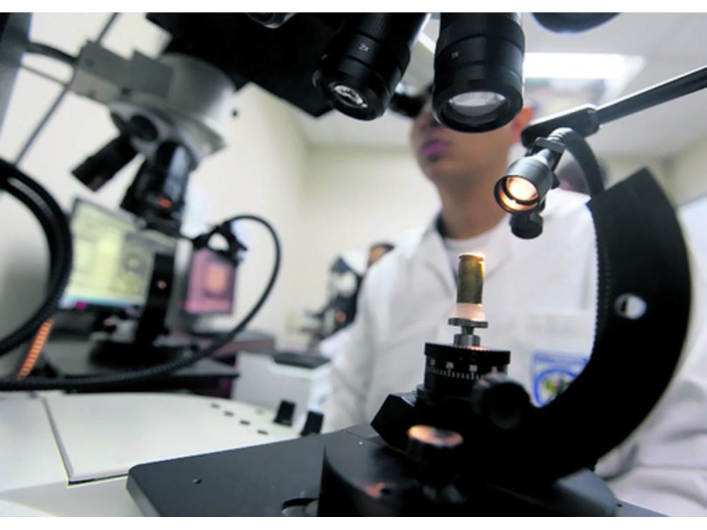 En 2012 se traspasó el laboratorio de biología molecular al IMELCF.