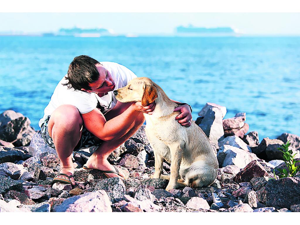 El perro siempre será el compañero fiel de hombres y mujeres.()
