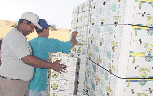 <p>Negocios. Estiman que aumentará el comercio.</p>