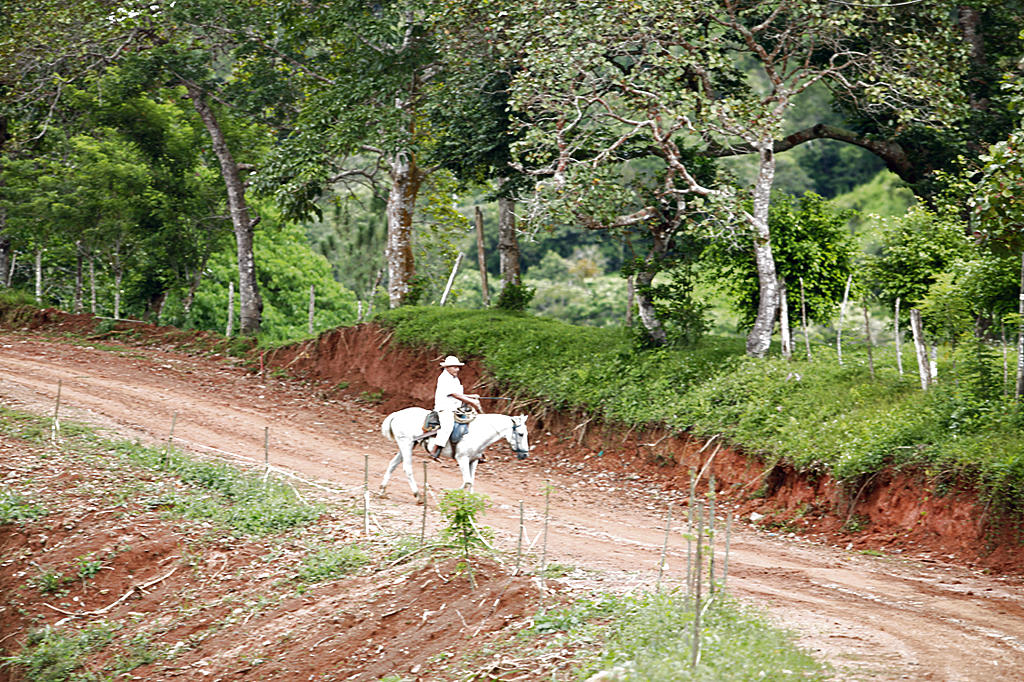 Camino. El caballo es quizás el transporte más seguro.(Carlos Lemos)