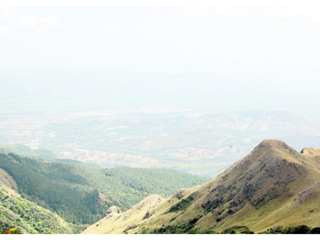 Panamá cuenta con un parque natural a pocos minutos de la ciudad.(Carlos Lemos)