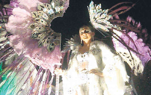 <p>Plumas y brillo.</p>