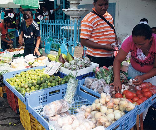 <p>Complementos. El limón criollo está a 0.10 la unidad. </p>