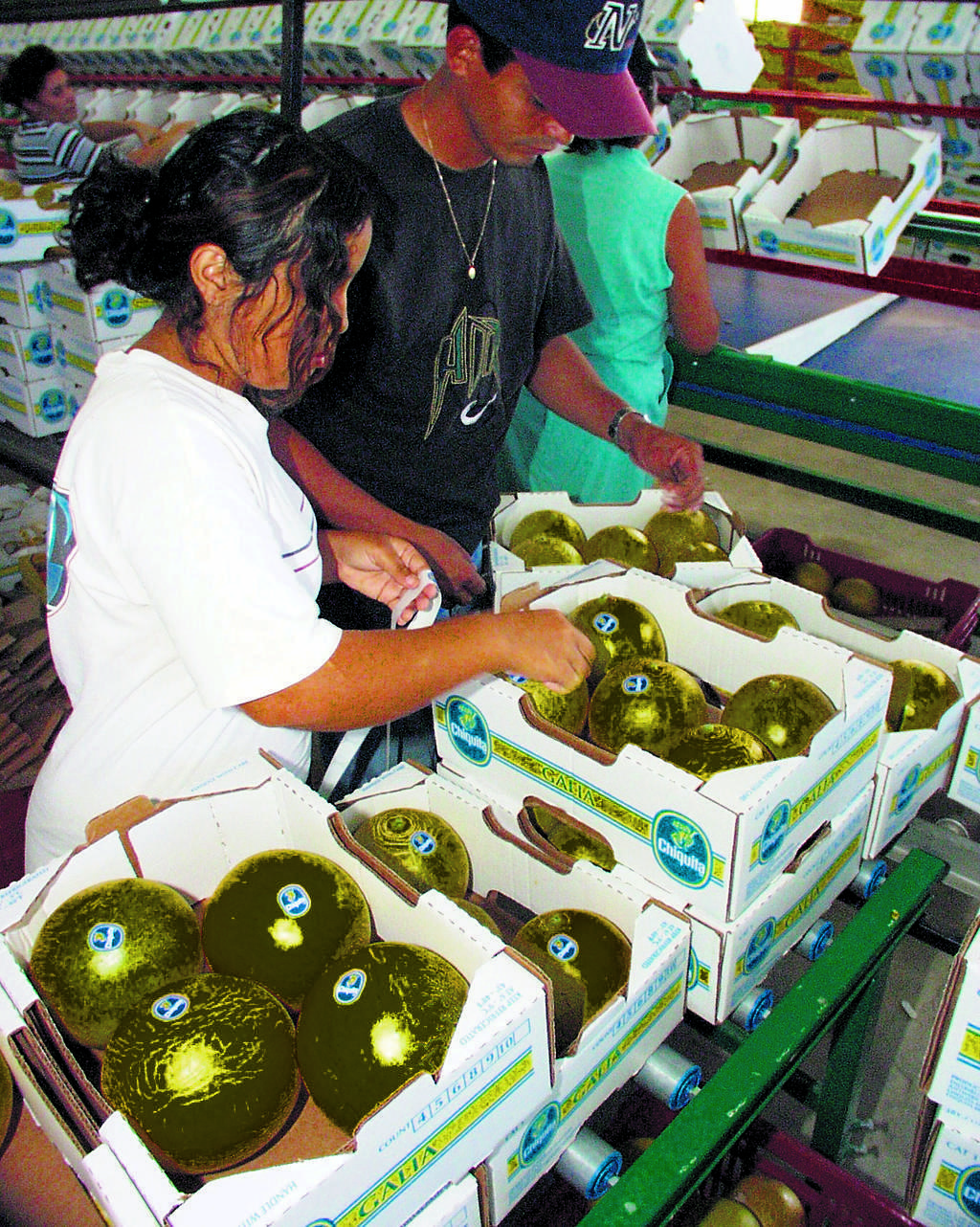 Producción. Envío de productos a Europa.(ARCHIVO)