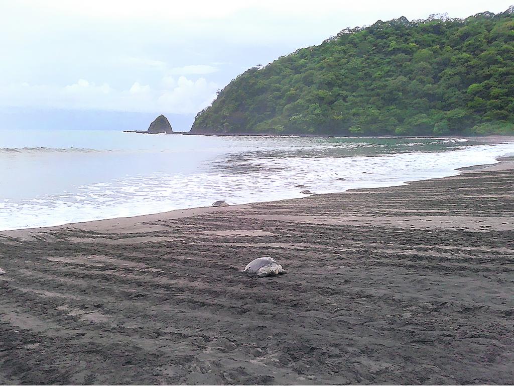 Playa. Un área relativamente pequeña.()