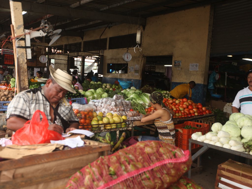 Vendedores exponen sus mejores productos a la clientela. Foto/Carlos Lemos<br>