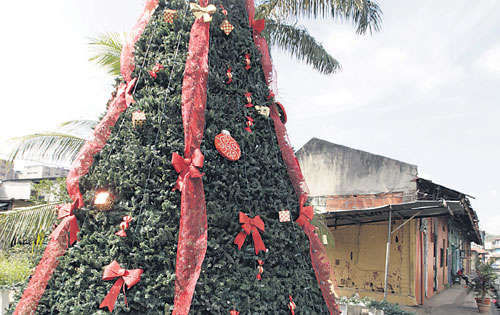 <p>El árbol de la Navidad no puede faltar.</p>