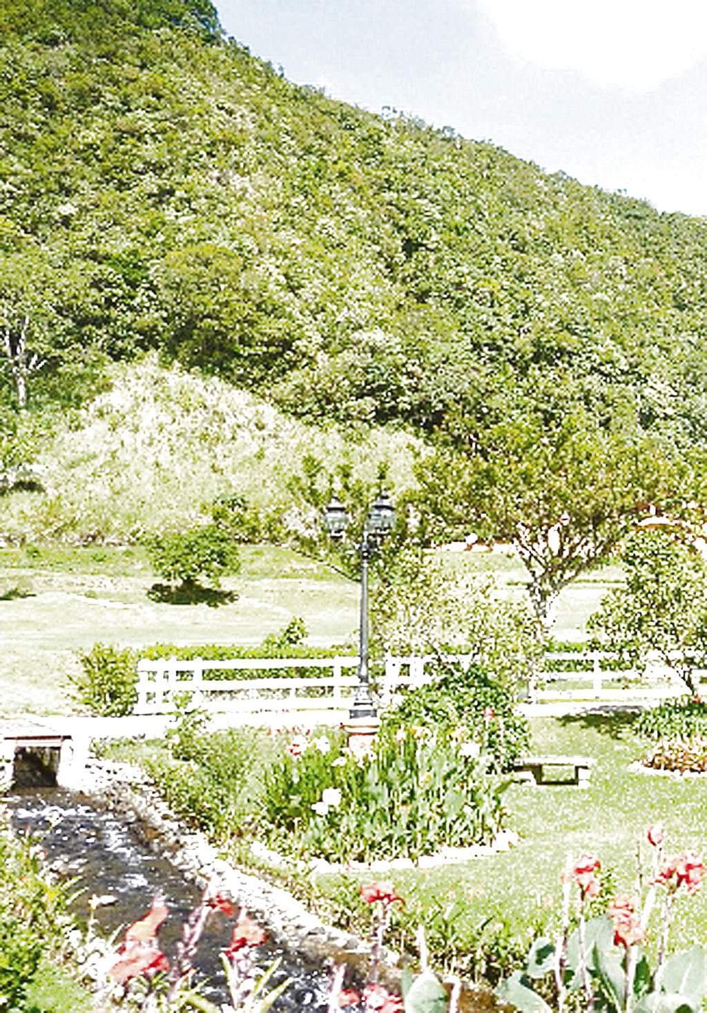 Fincas. Agroforestales en Boquete(CortesÃa.)