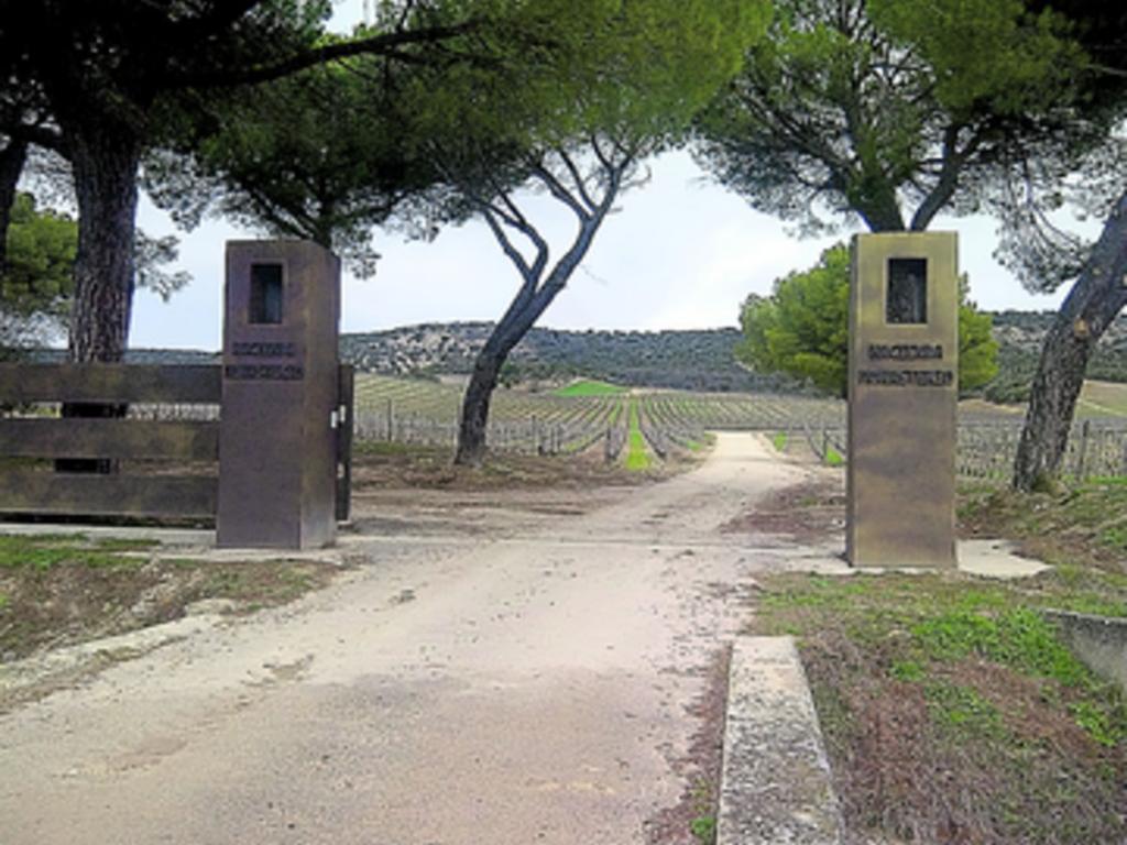Este viñedo mantiene fama internacional.(Aníbal Villa-Real)