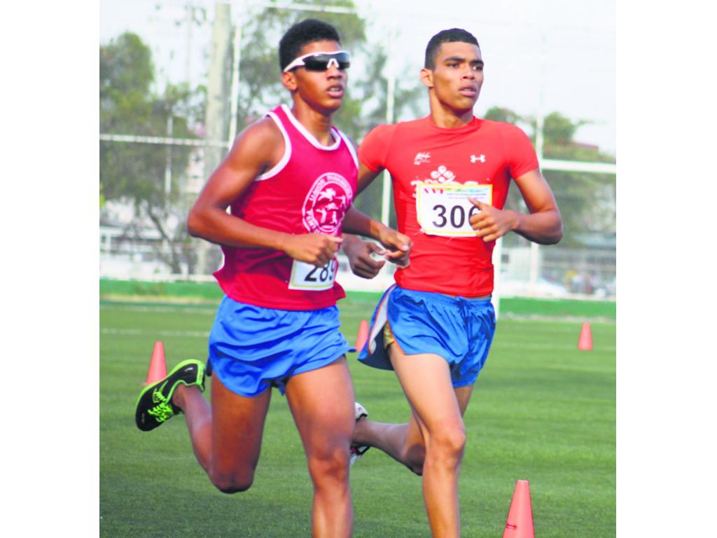 Ronald González