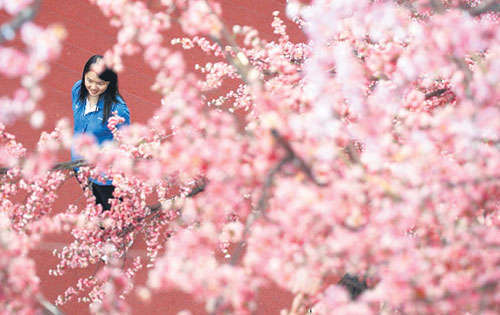 <p>En Malasia una joven camina junto a flores de exhibición para darle la bienvenida al Año del dragón.</p>