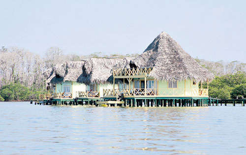 <p>Abiertos al mar, muchos de los restaurantes ubicados en isla colón, bocas del toro, ofrecen esa sensación de un ambiente tranquilo y acogedor, convirtiéndolo en un lugar ideal para comer, relajarse y disfrutar.</p>