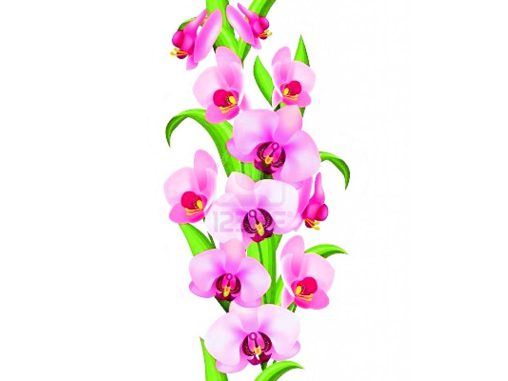 El caso de las orquídeas es un poco distinto, ya que en 2012 no se registraron importaciones de este producto, pero entre las cifras de exportación del mismo año sí se reflejan 14 mil 44 de dólares en orquídeas frescas.
