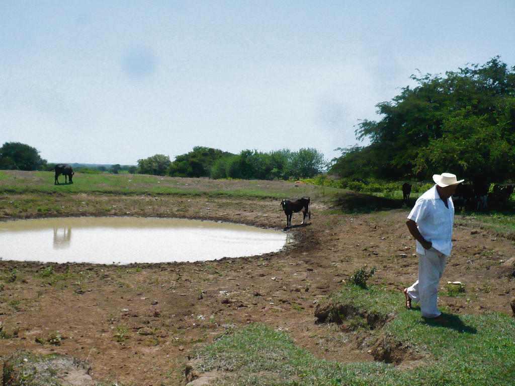 Paliativos. Se construyen abrevaderos de reserva de agua.()