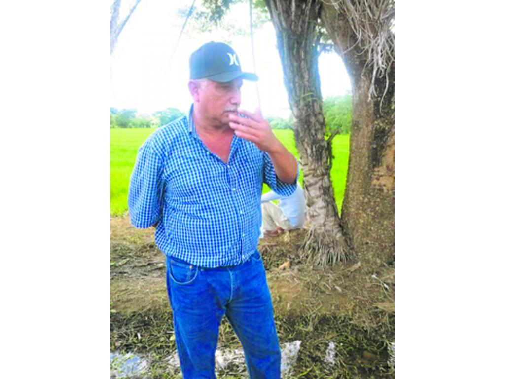 Anteriormente, los gastos por hectárea estaban alrededor de los 1,900 dólares, ahora, con estos sistemas de riego y la nivelación de las tierras, los gastos disminuyen y se logra un mejor control de la maleza, aclaró el productor, socio y usuario del si