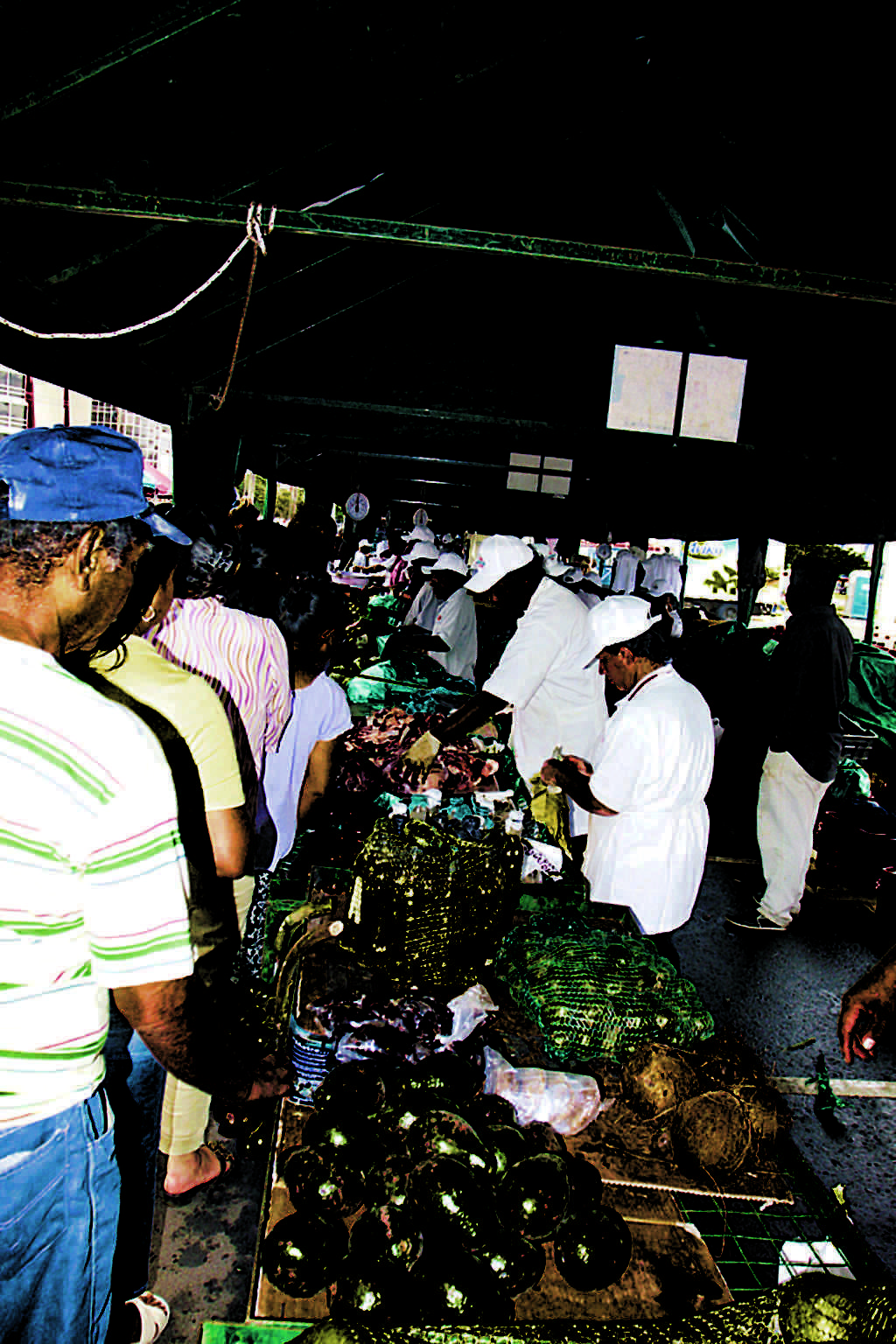 Actividades en el campo (bloomberg)