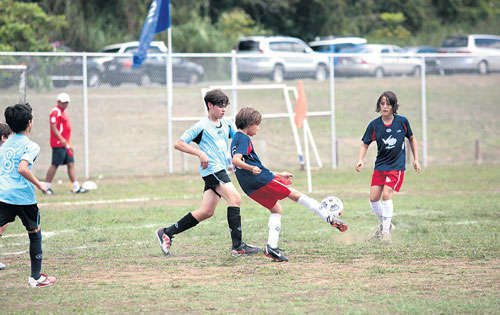 <p>Colegios. Ocho equipos participarán en el torneo.</p>