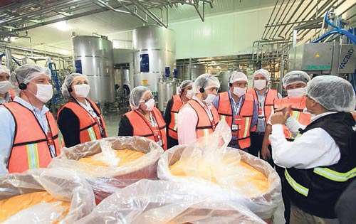 <p>Empresa. Cuentan con cientos de colaboradores.</p>
